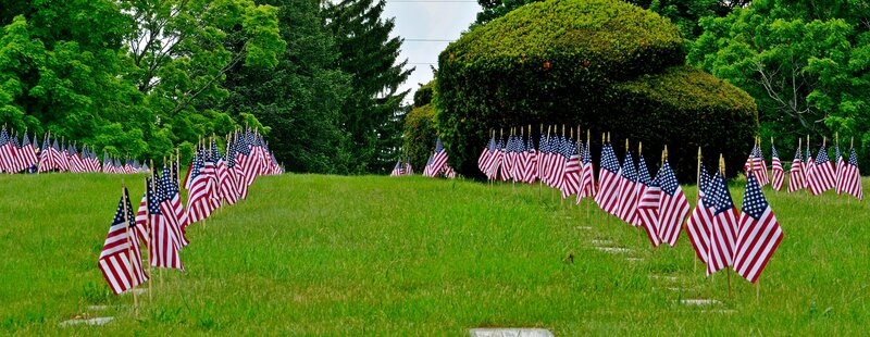 American Flags in Field