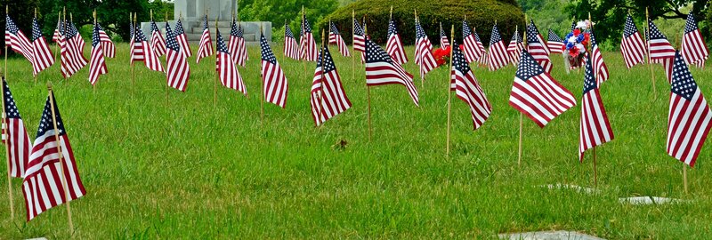 American Flags in Grass