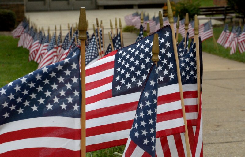 American Flags in Rows
