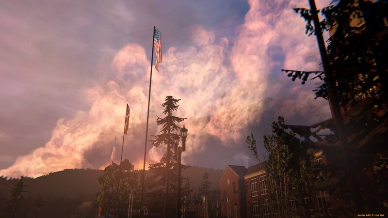 American Flags in Town
