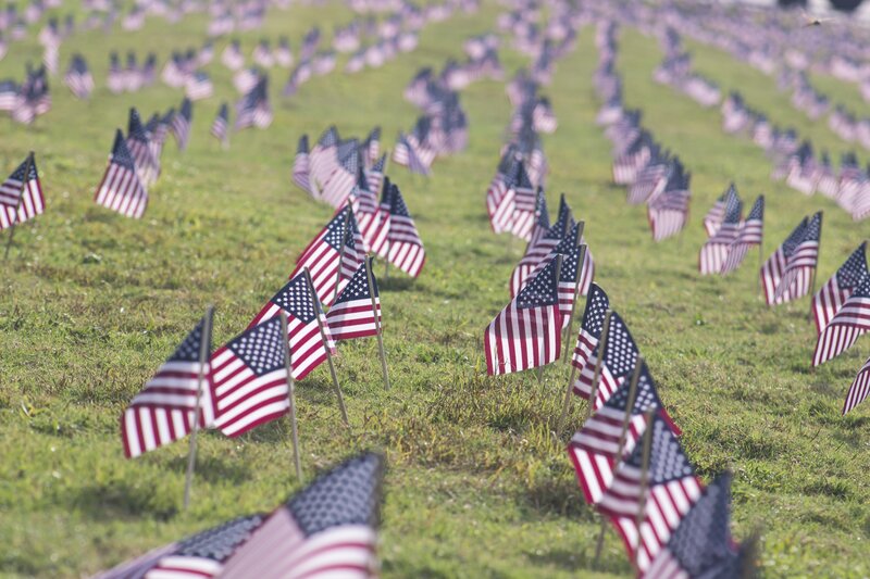 American flags on a field