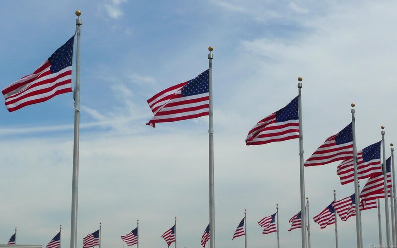 American Flags on Poles