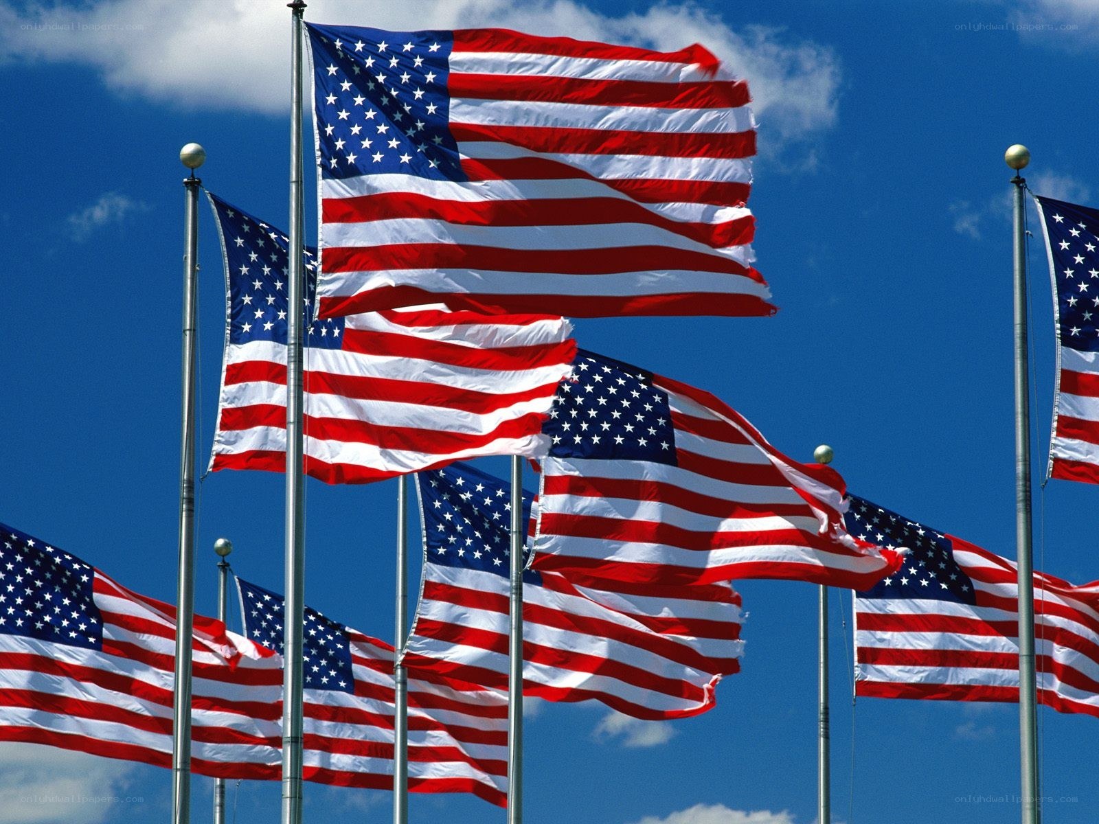 American flags waving in the wind