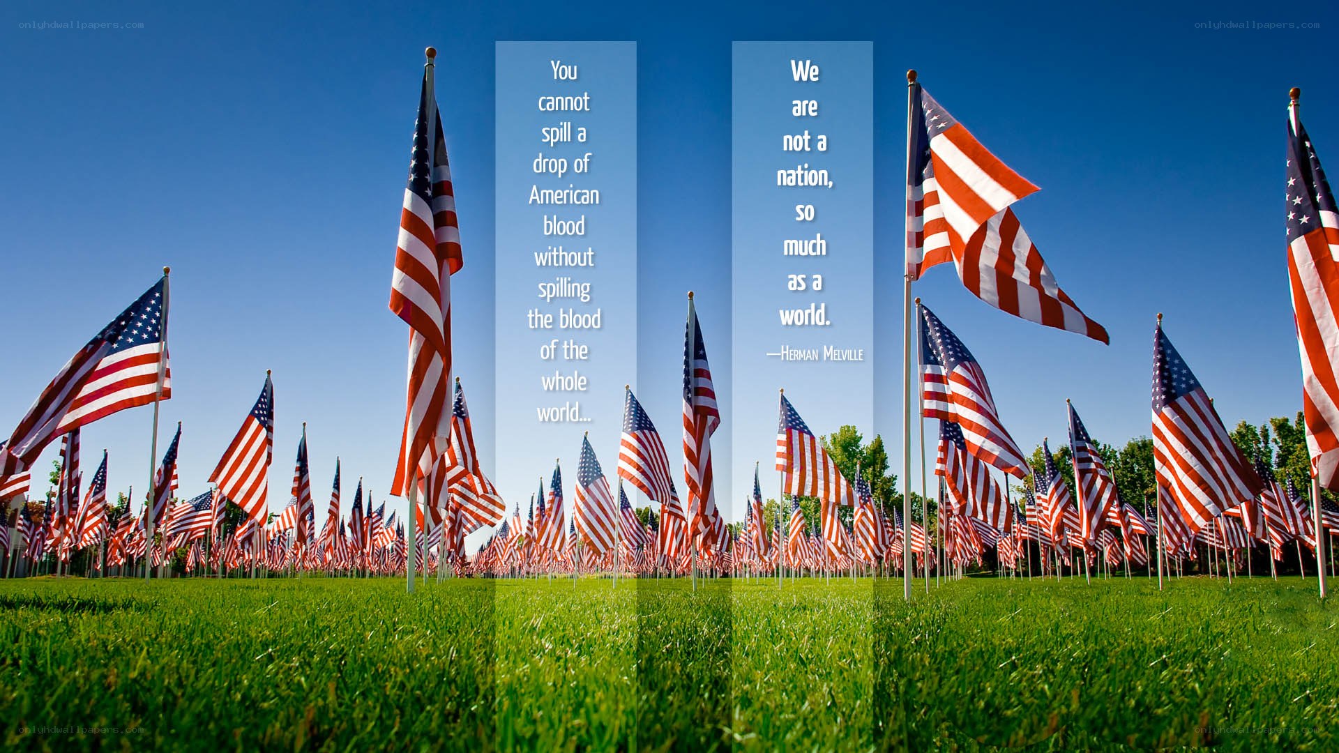 American flags with quotes