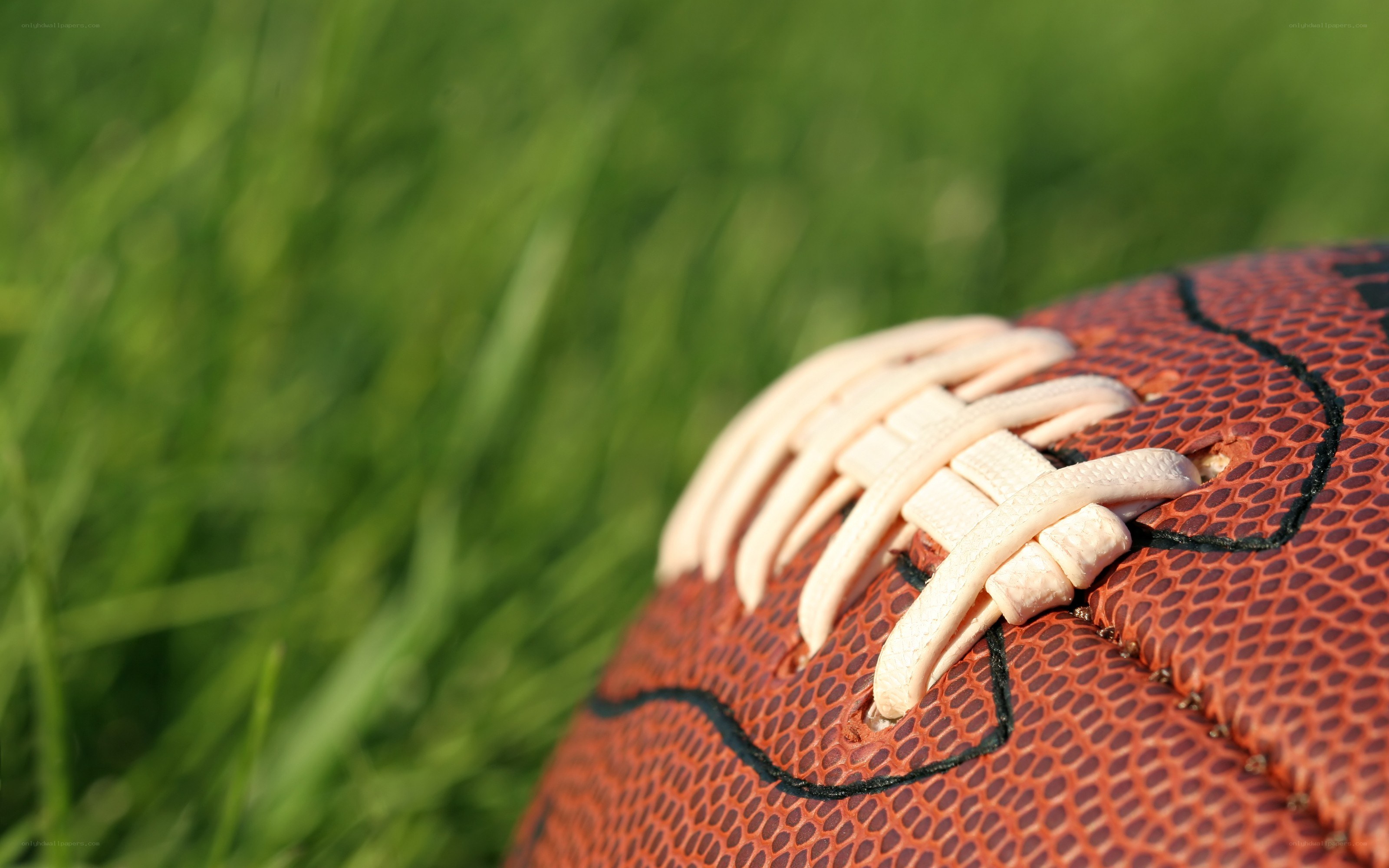 American football on grass