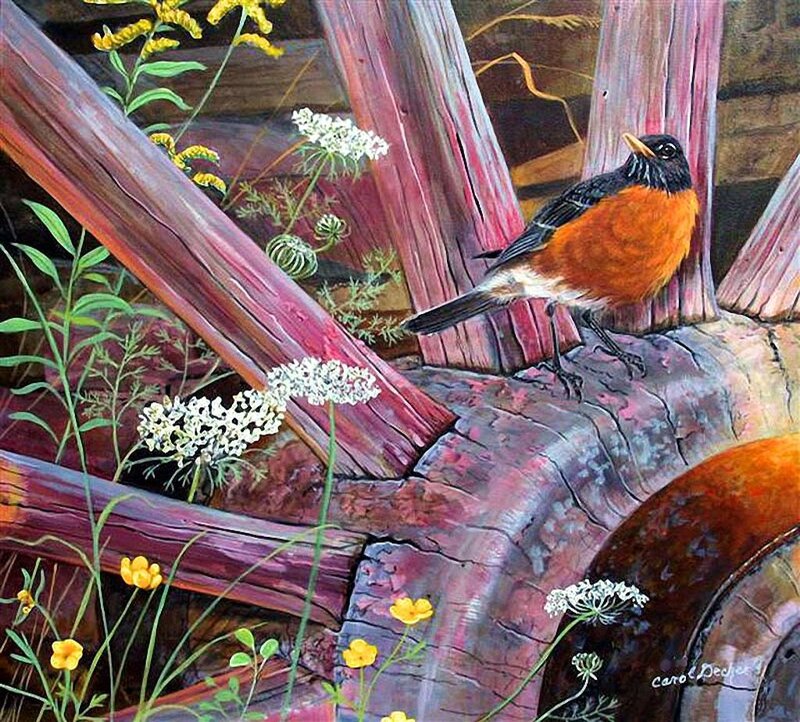 American Robin on Log