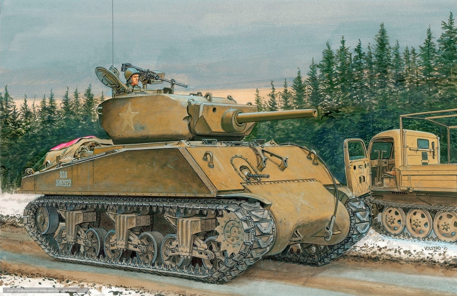 American tank in forest