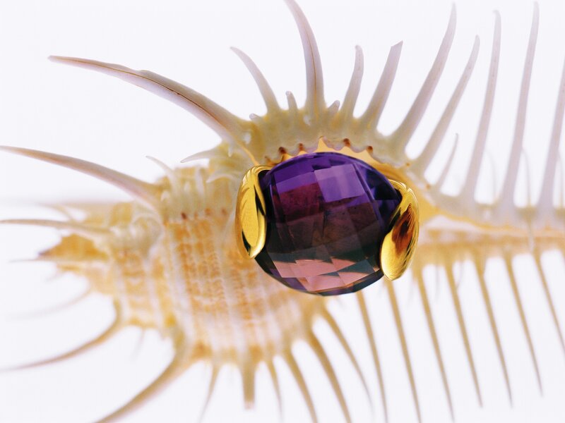 Amethyst ring on seashell