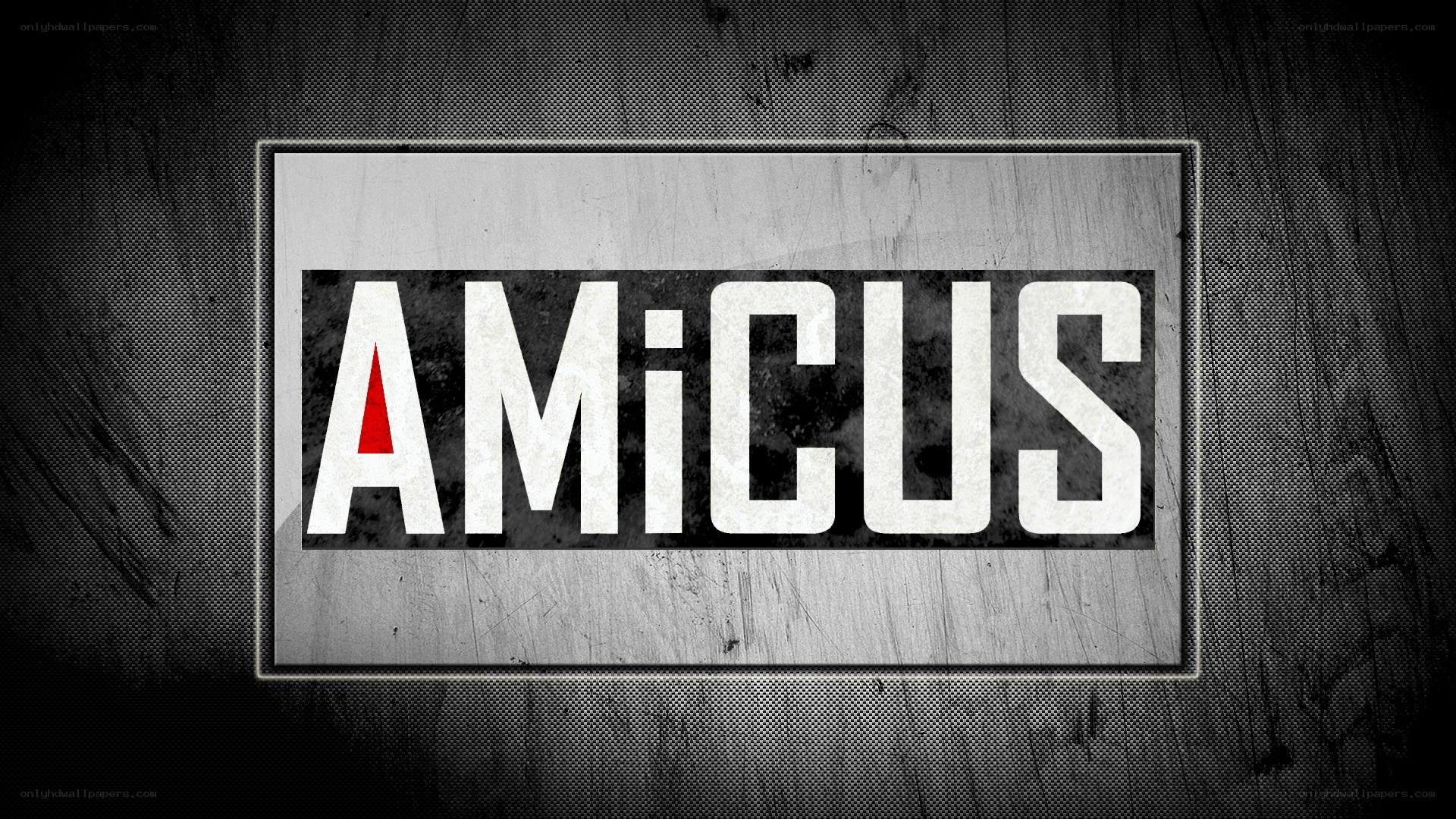Amicus logo on textured background