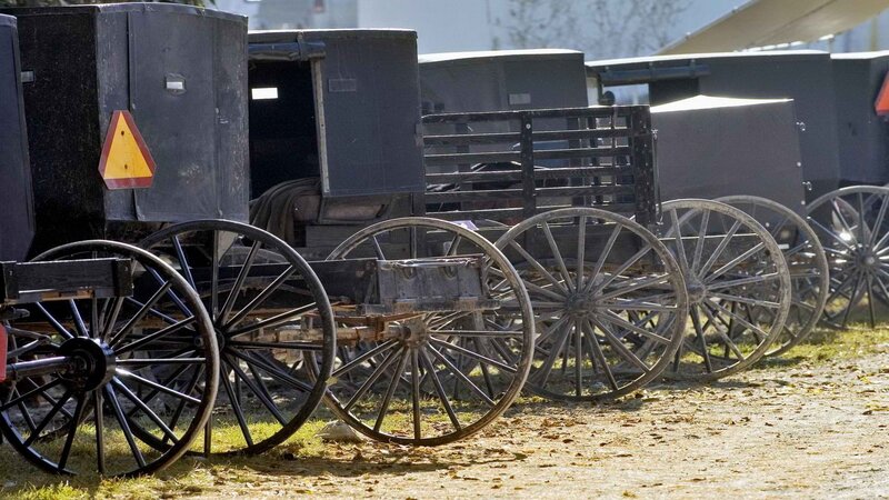 Amish buggies in a row
