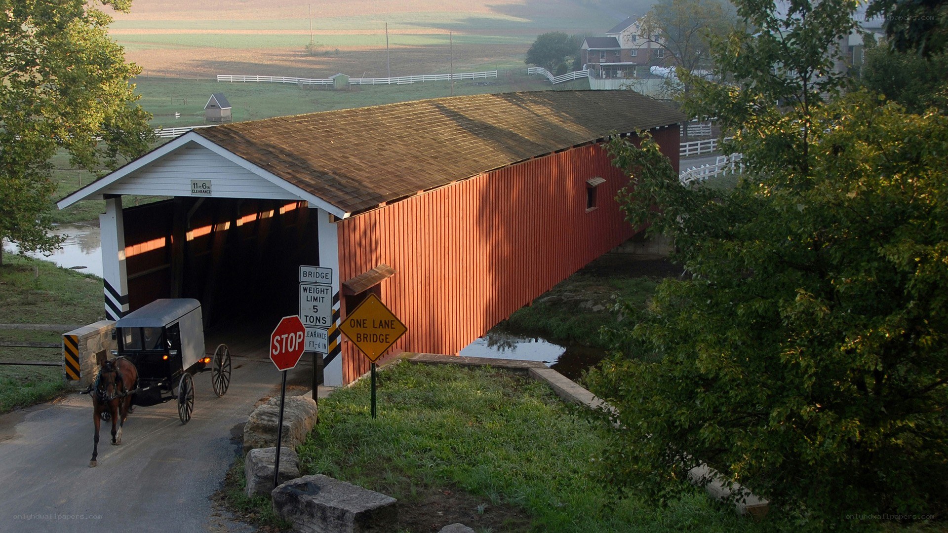 Amish buggy at covered bridge