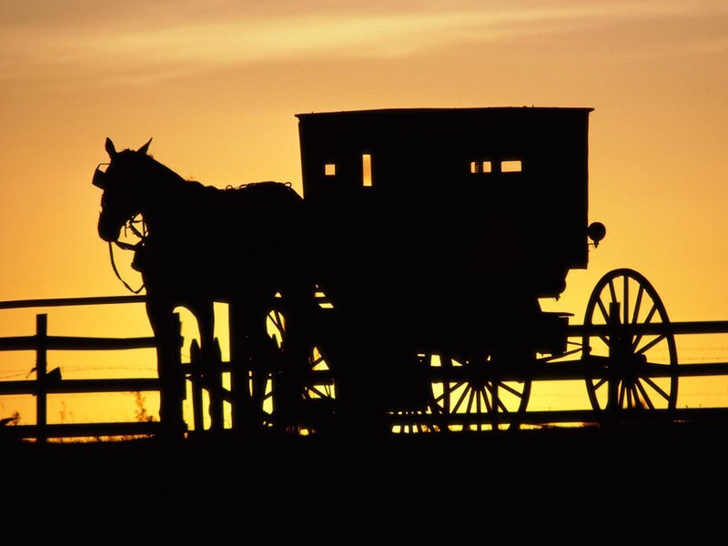 Amish buggy at sunset