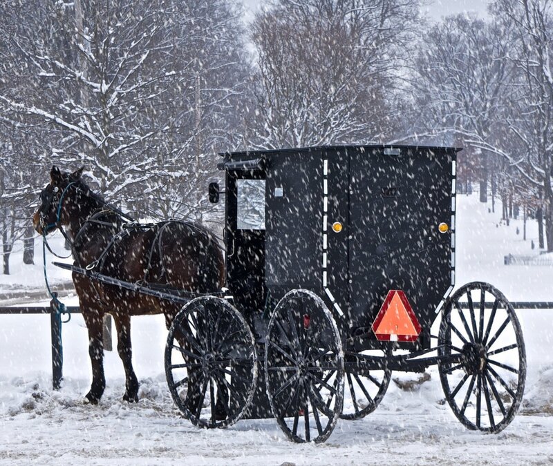 Amish Buggy in Snow — Black, Cold
