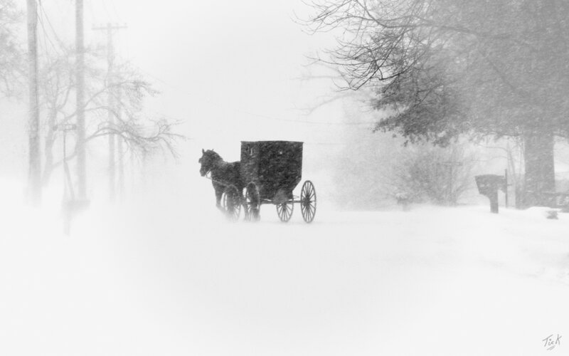 Amish Buggy in Snow — Black