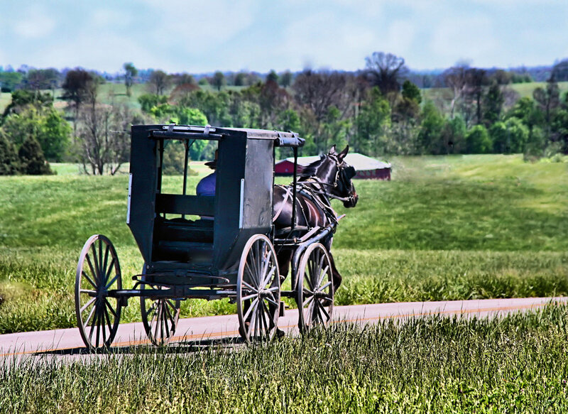 Amish buggy on a country road
