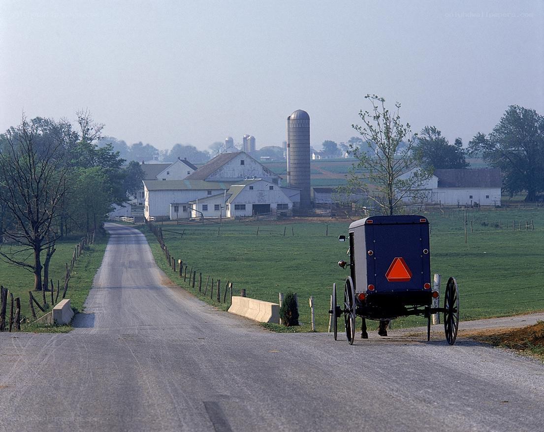 Amish buggy on a rural road