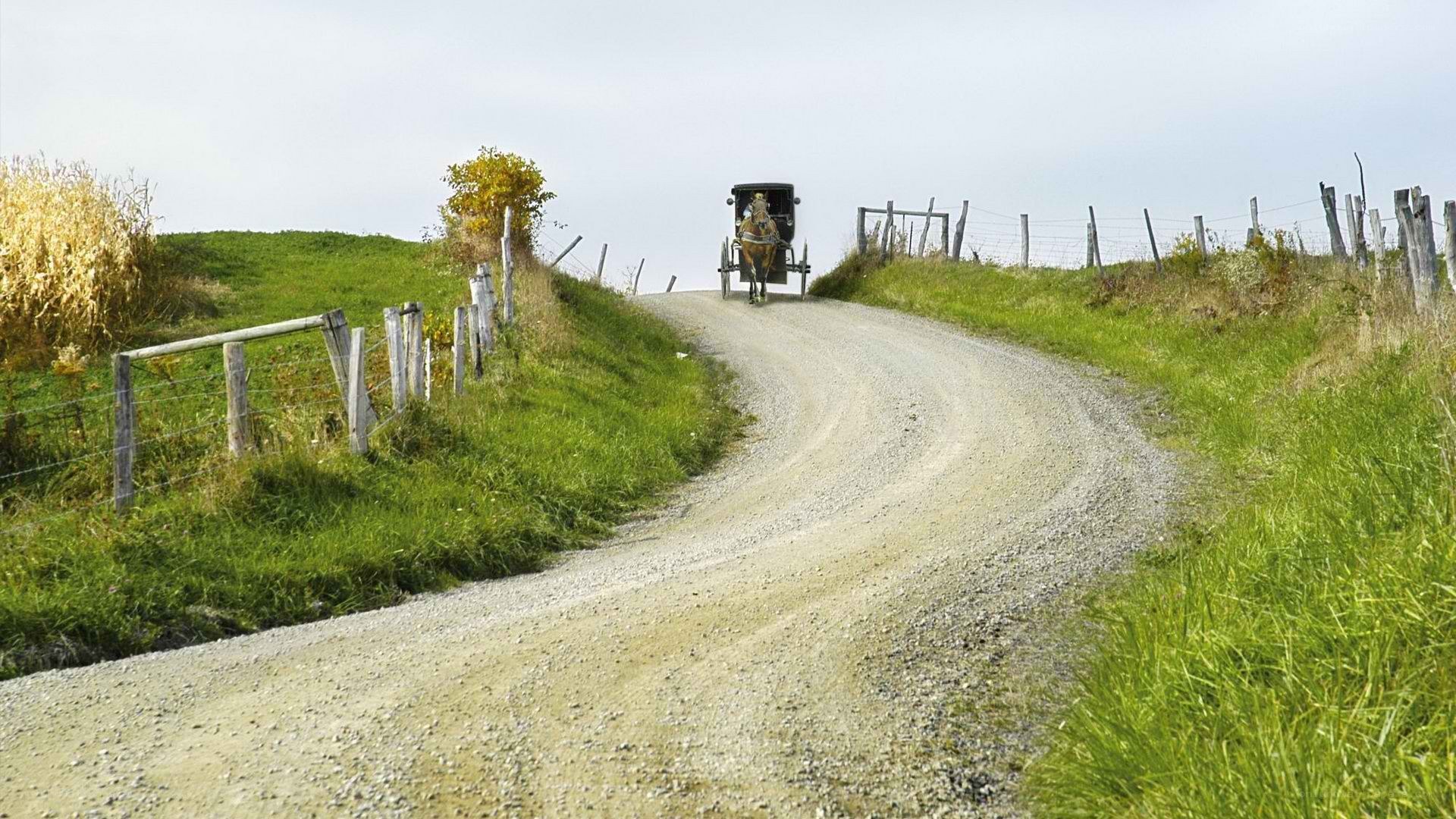 Amish buggy on a rural road