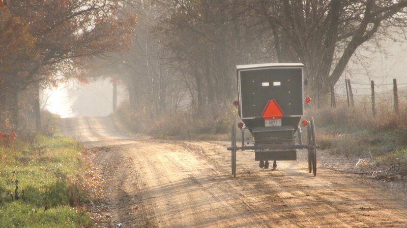 Amish buggy on a rural road