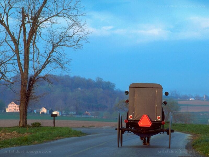 Amish buggy on a rural road