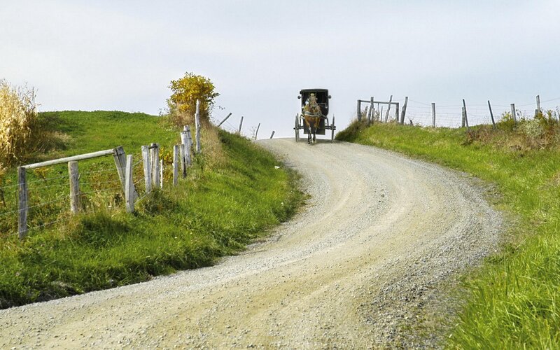 Amish Buggy on Dirt Road — Green, Serene, Autumn