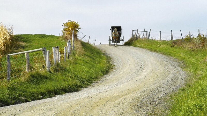 Amish Buggy on Dirt Road — Green, Serene