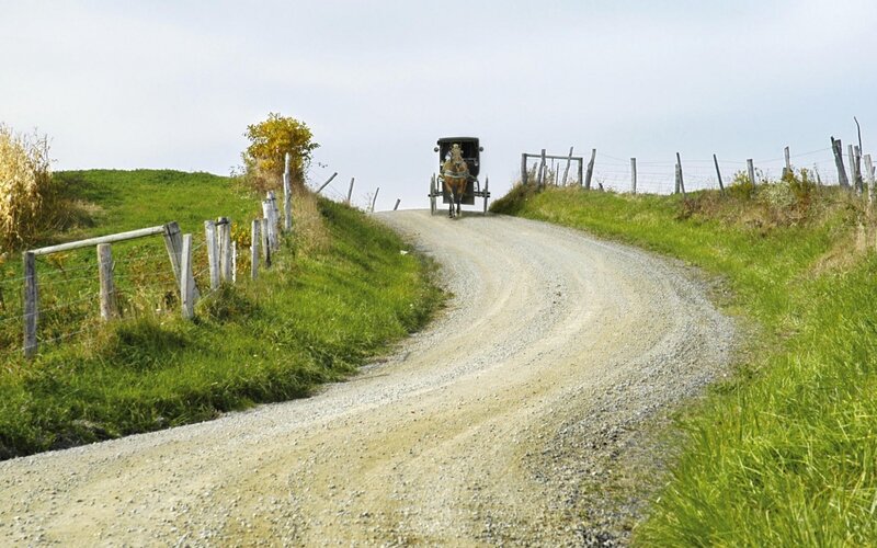 Amish Buggy on Dirt Road — Green