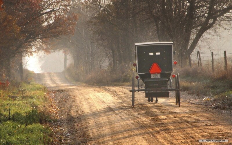 Amish Buggy on Dirt Road