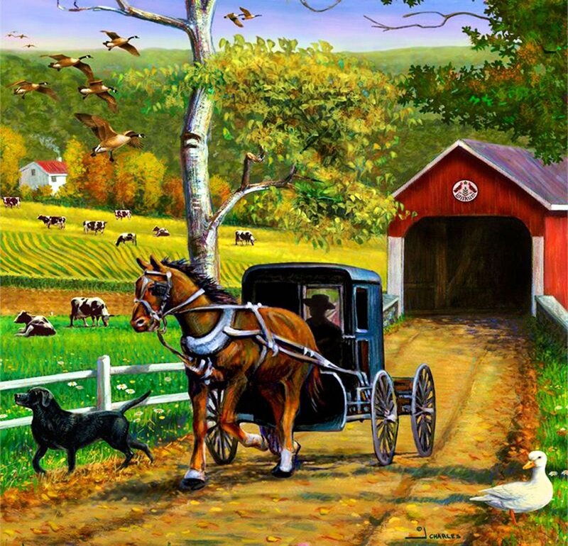 Amish Buggy on Farm Road