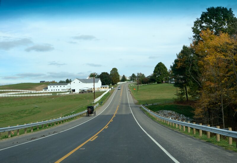 Amish Buggy on Road — Green, Serene