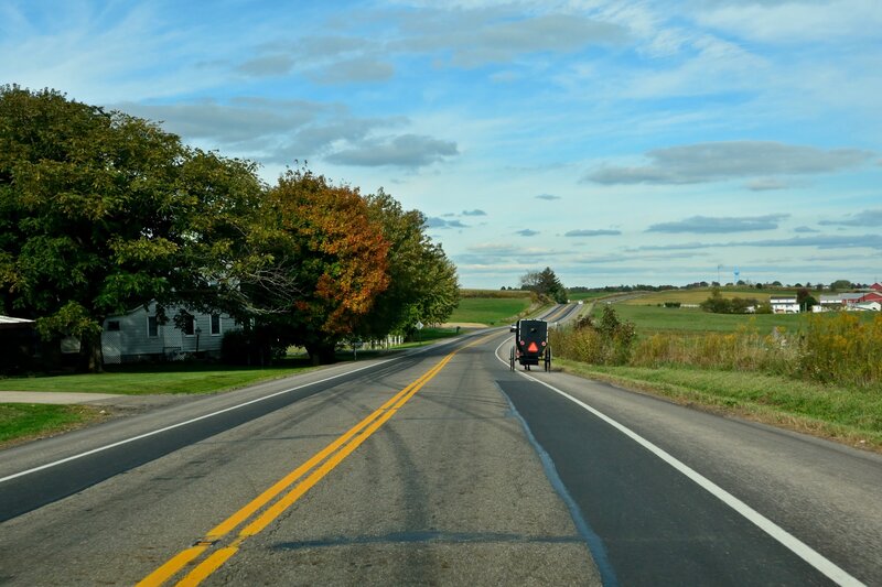 Amish Buggy on Road — Green
