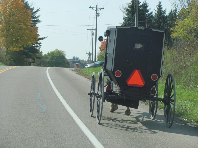 Amish Buggy on Road