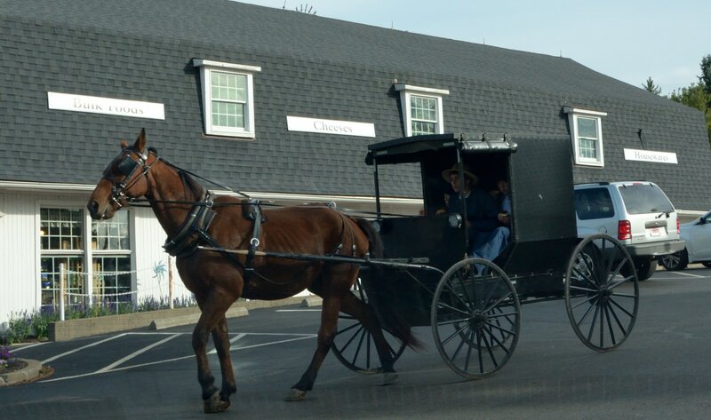 Amish Buggy with Horse