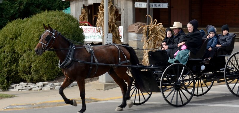 Amish Family in Buggy — Brown