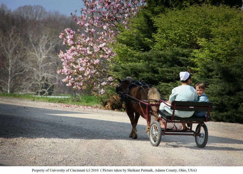 Amish family on a buggy ride