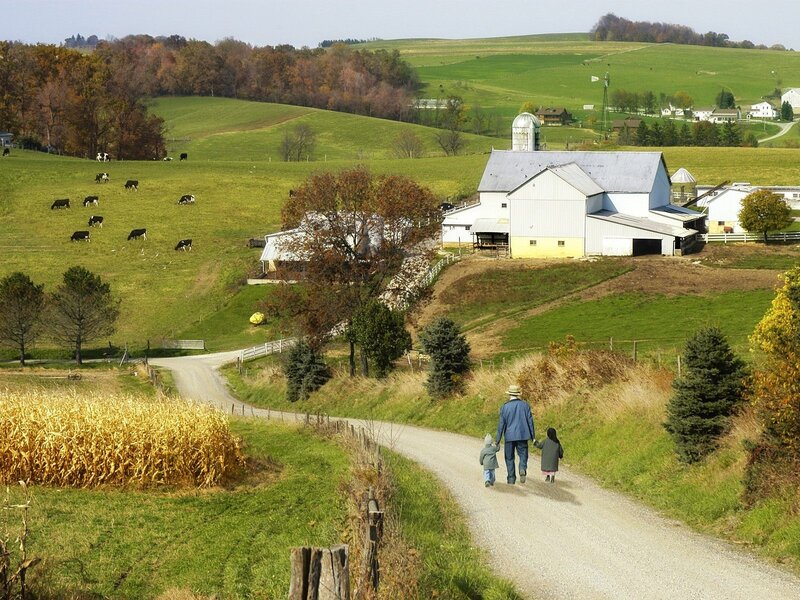Amish family walking on farm road