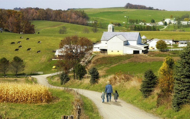 Amish Family Walking