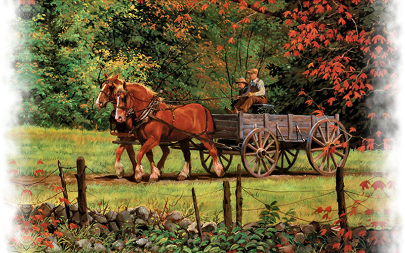 Amish Men in Wagon