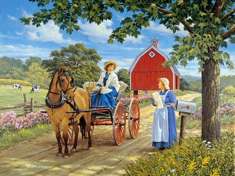 Amish Woman in Carriage