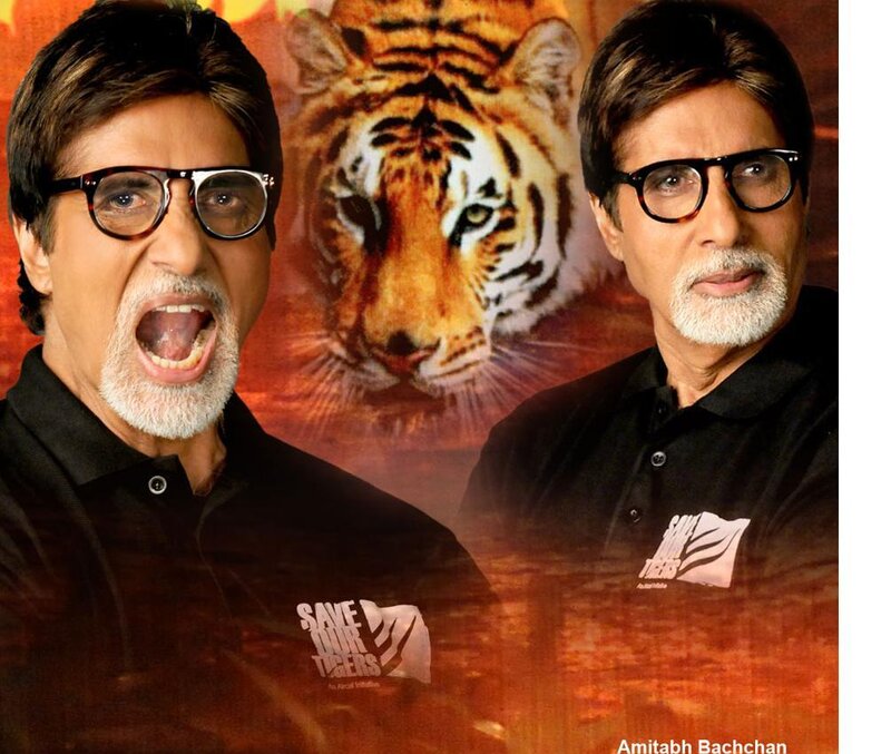 Amitabh Bachchan for Save Our Tigers