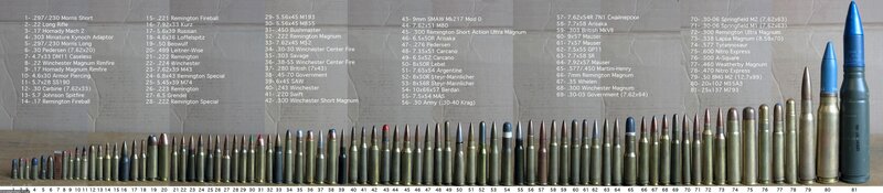 Ammunition Collection