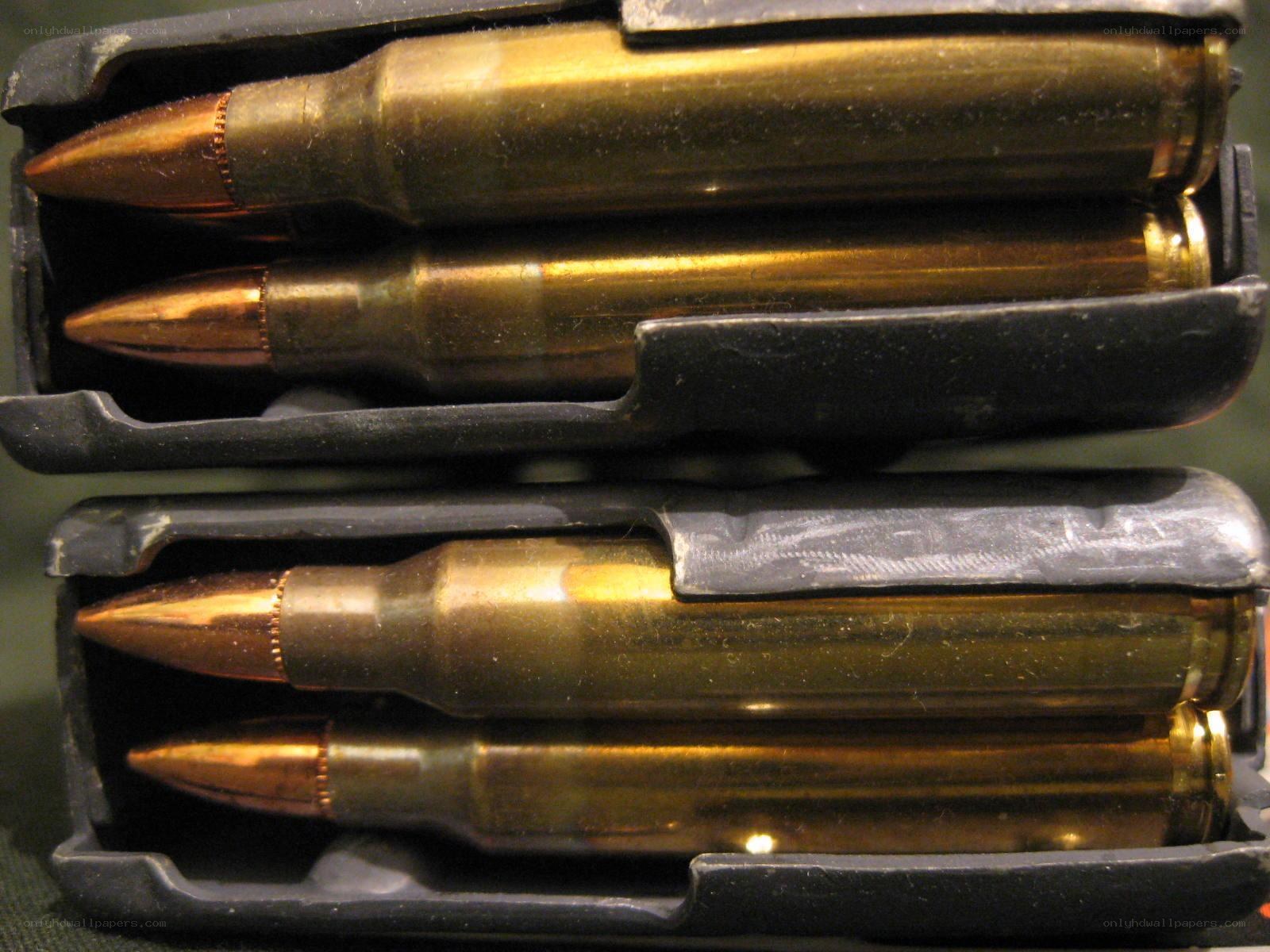 ammunition in magazines