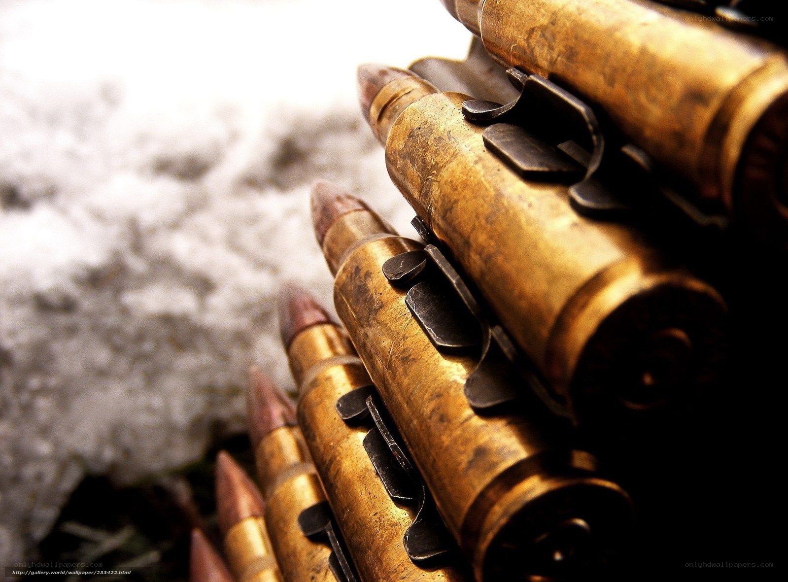 ammunition in snow