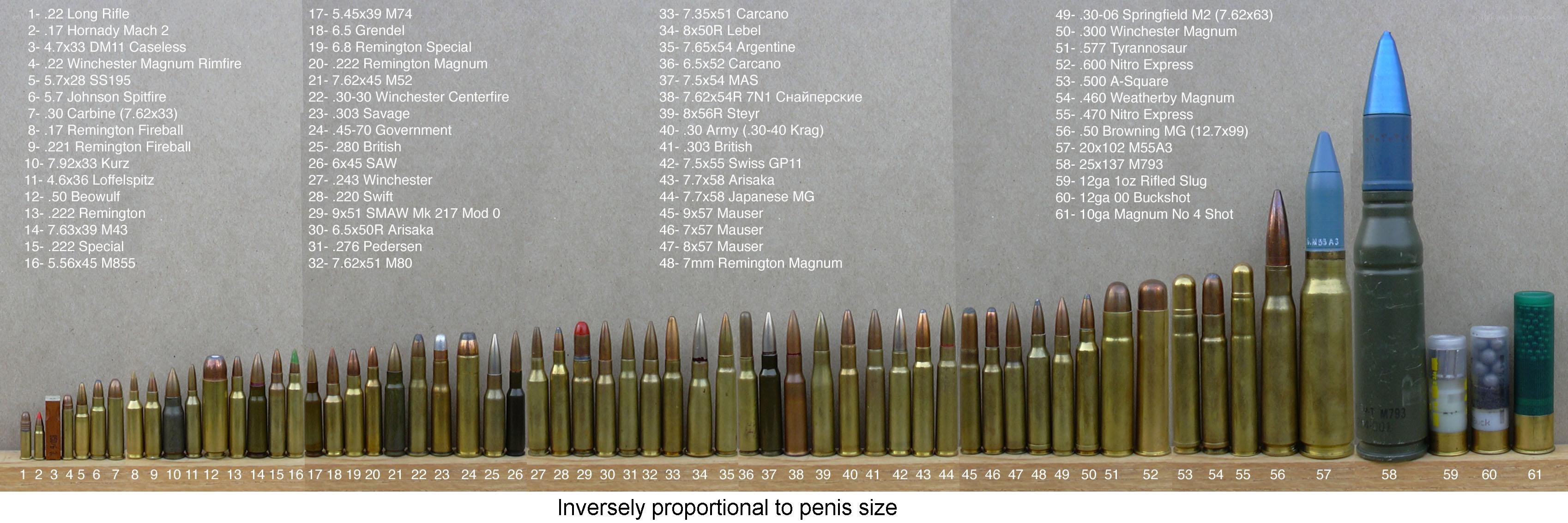 Ammunition size comparison