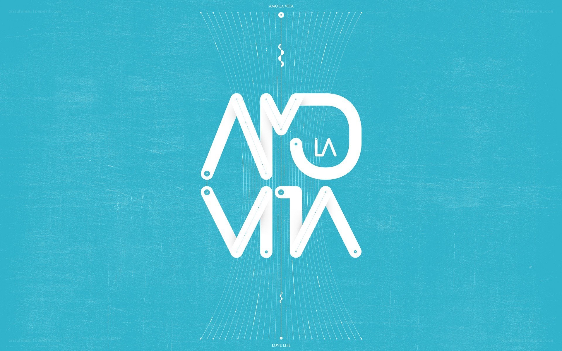 Amo La Vita logo design