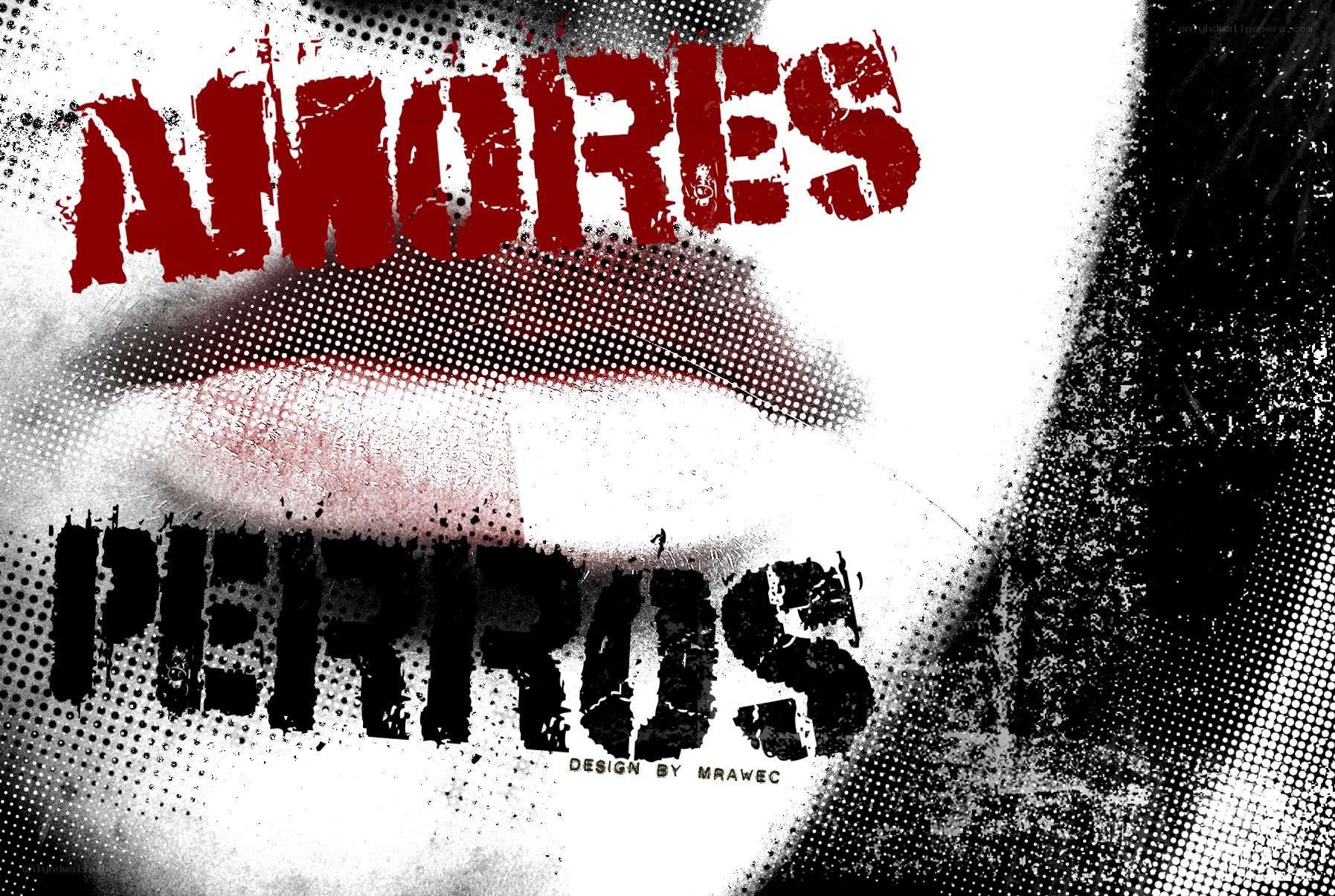 Amores Perros poster art