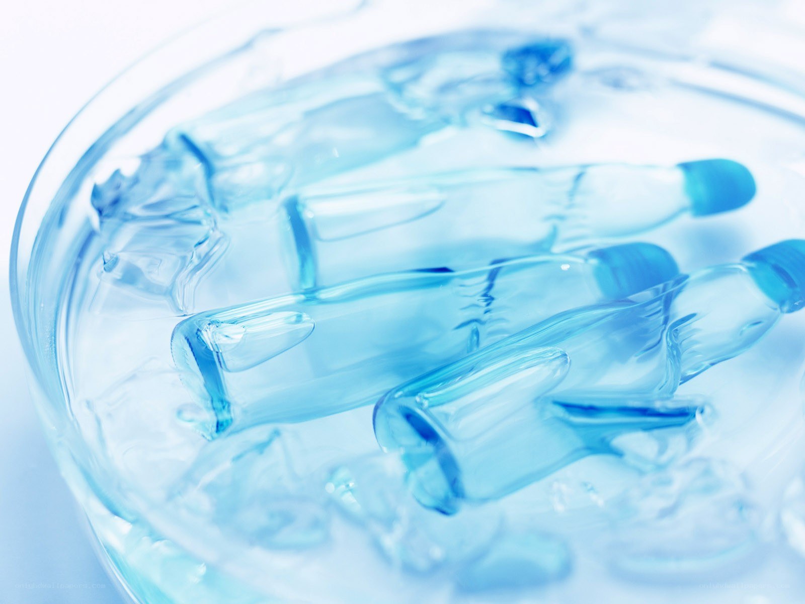 ampoules in ice