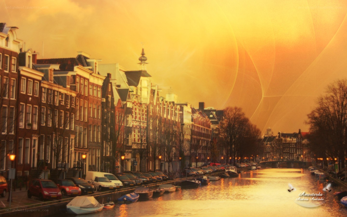 Amsterdam canal at sunset