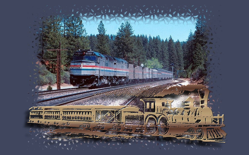 Amtrak Train in Forest