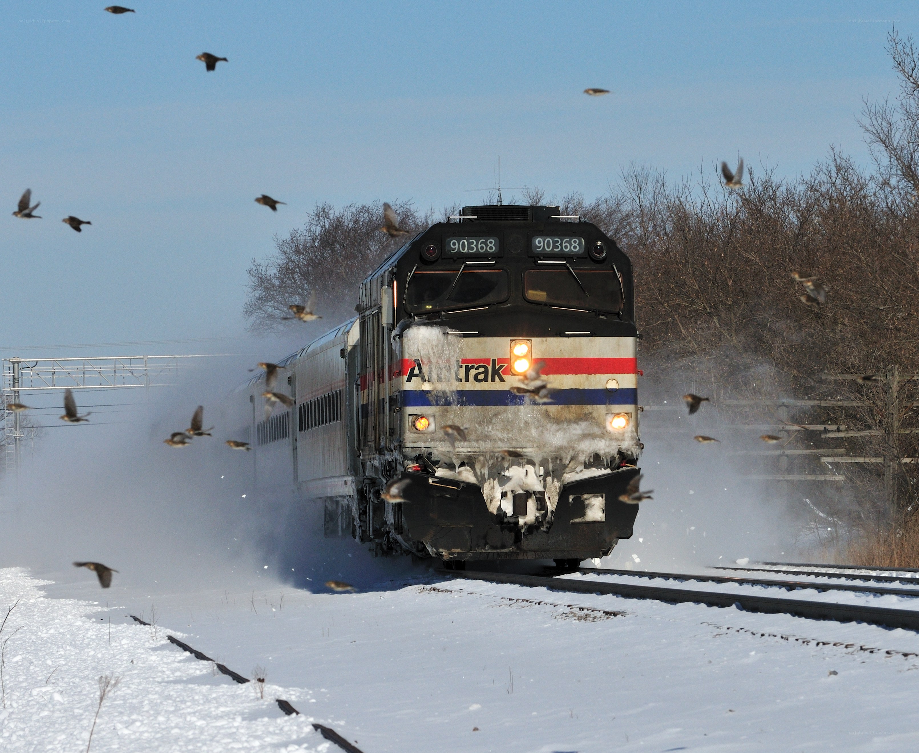 Amtrak train in snowy landscape