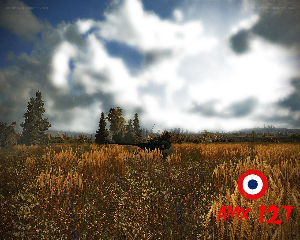 AMX 12T in a wheat field